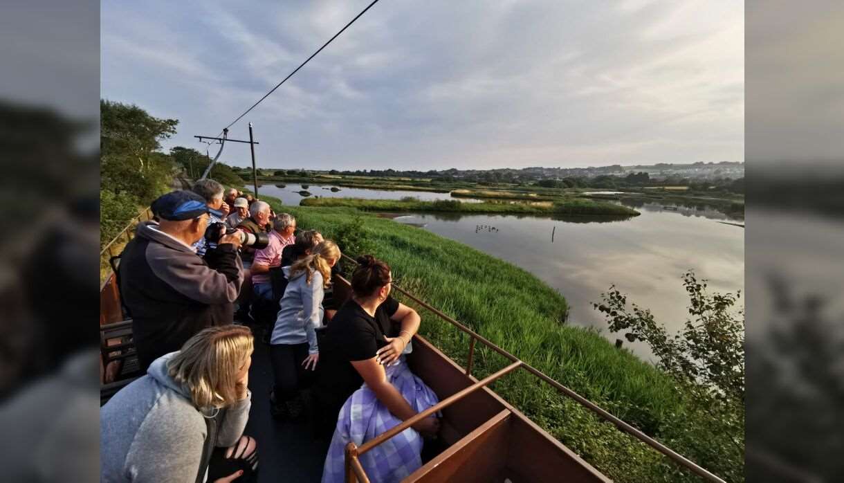 The Bird Watching Tram