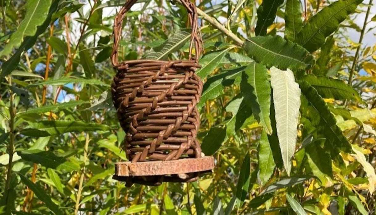 Willow Bird Feeder Workshop
