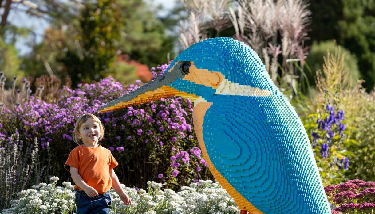 Summer Holidays: Brick Explorers