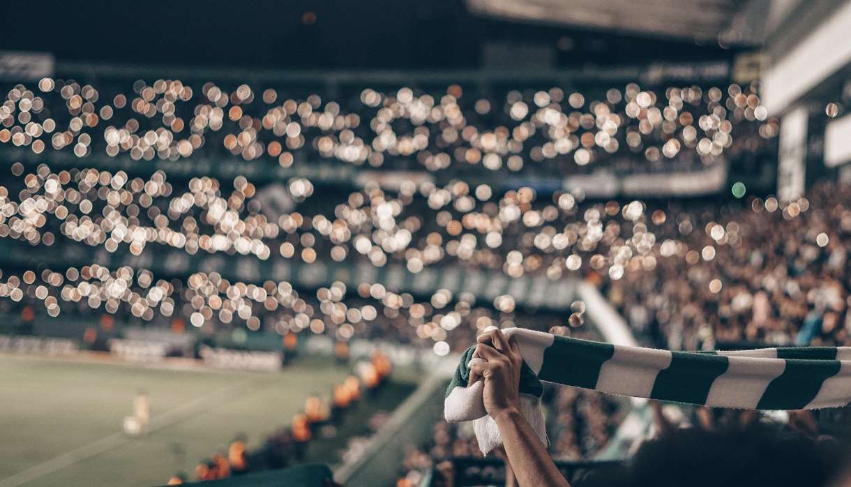Fan holding green and white scarf at football game
