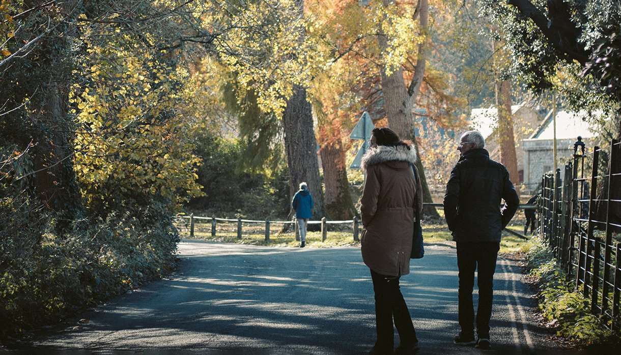 People walking in a park with trees