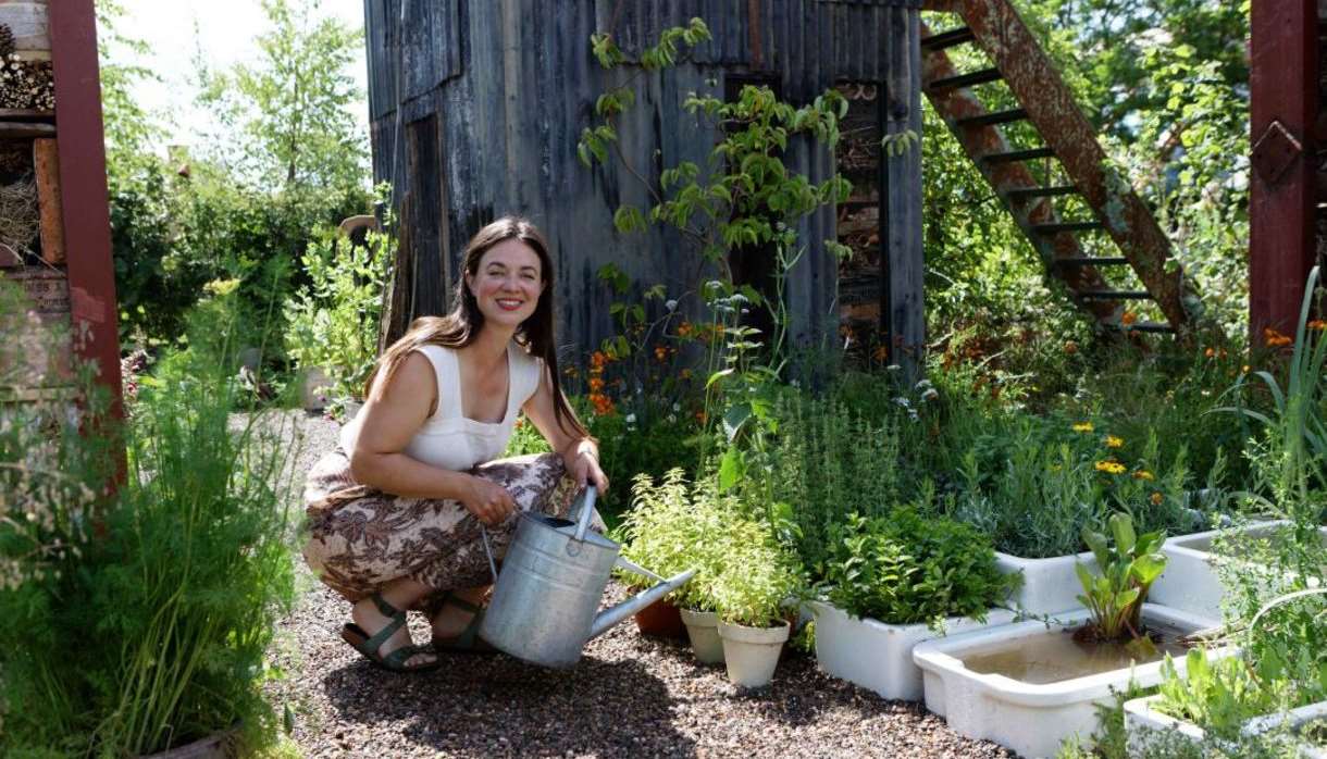 Re-wilding landscapes and Gardens with Frances Tophill