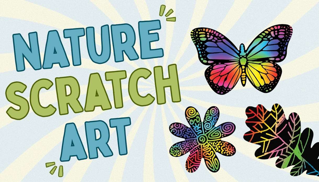 Nature Scratch Art Workshop at House of Marbles