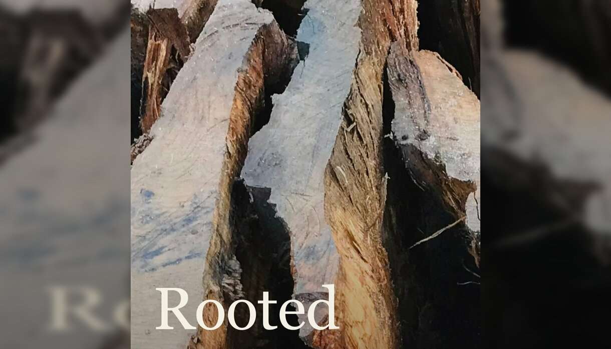 The Rooted