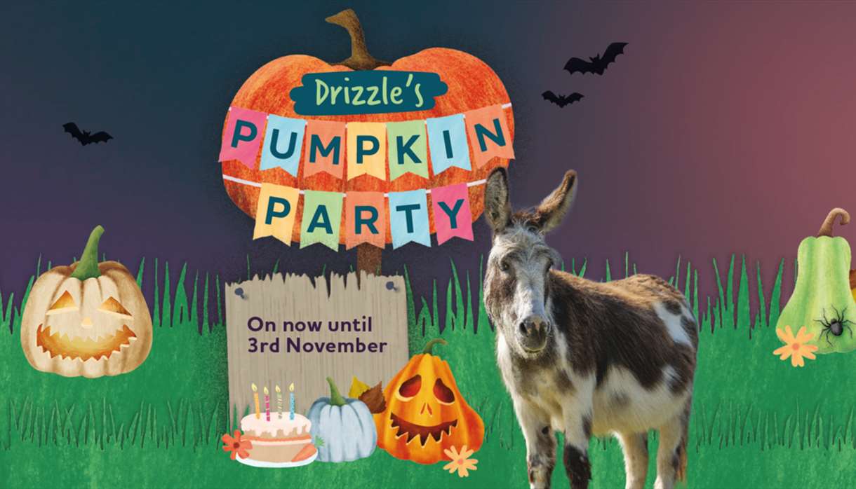 Drizzle's Pumpkin Party Halloween Trail