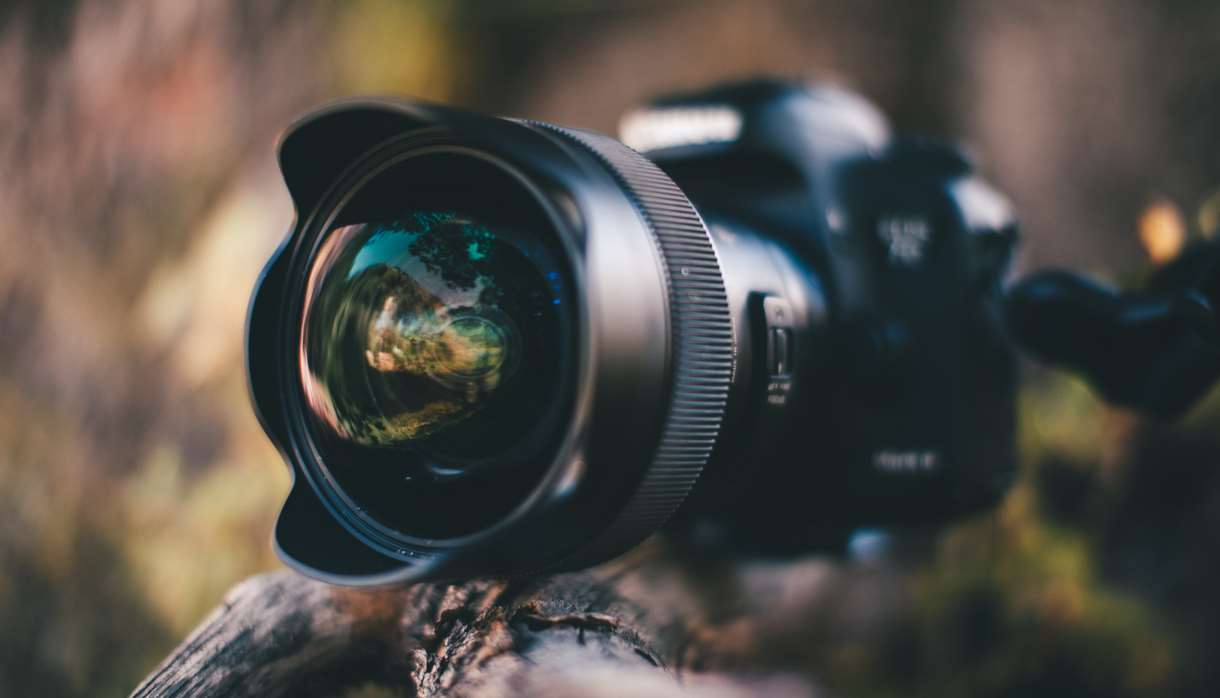 Large camera on wooden branch