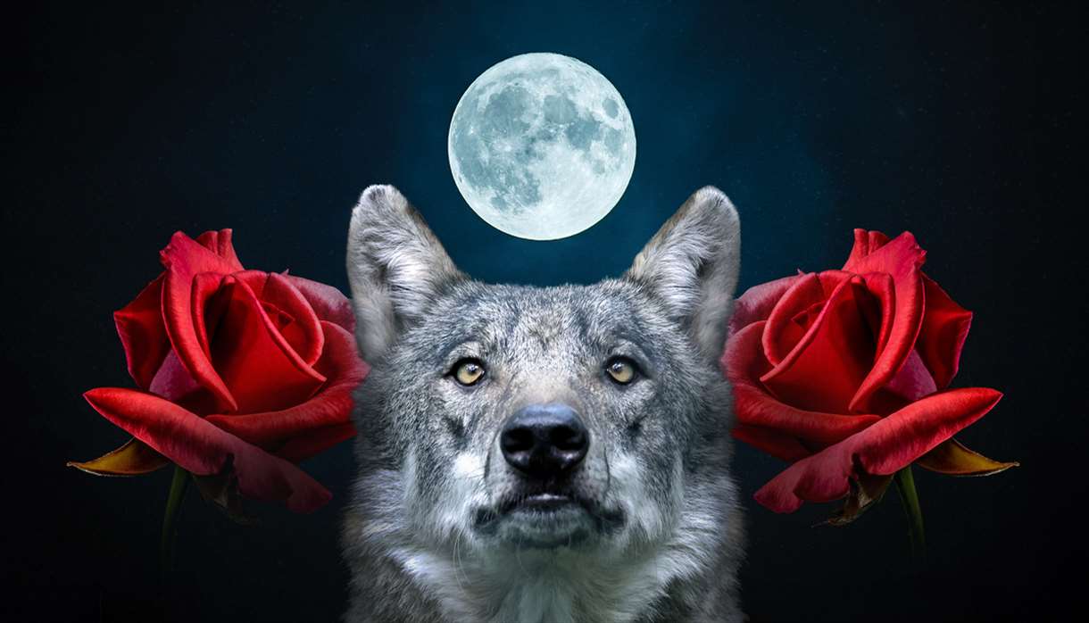 Valentine's Day Meal & Night Tour