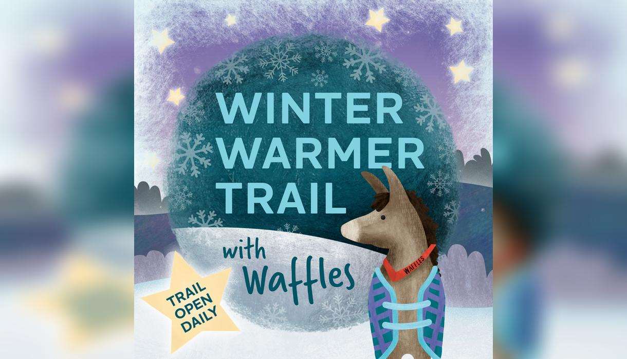 Winter Warmer Trail with Waffles