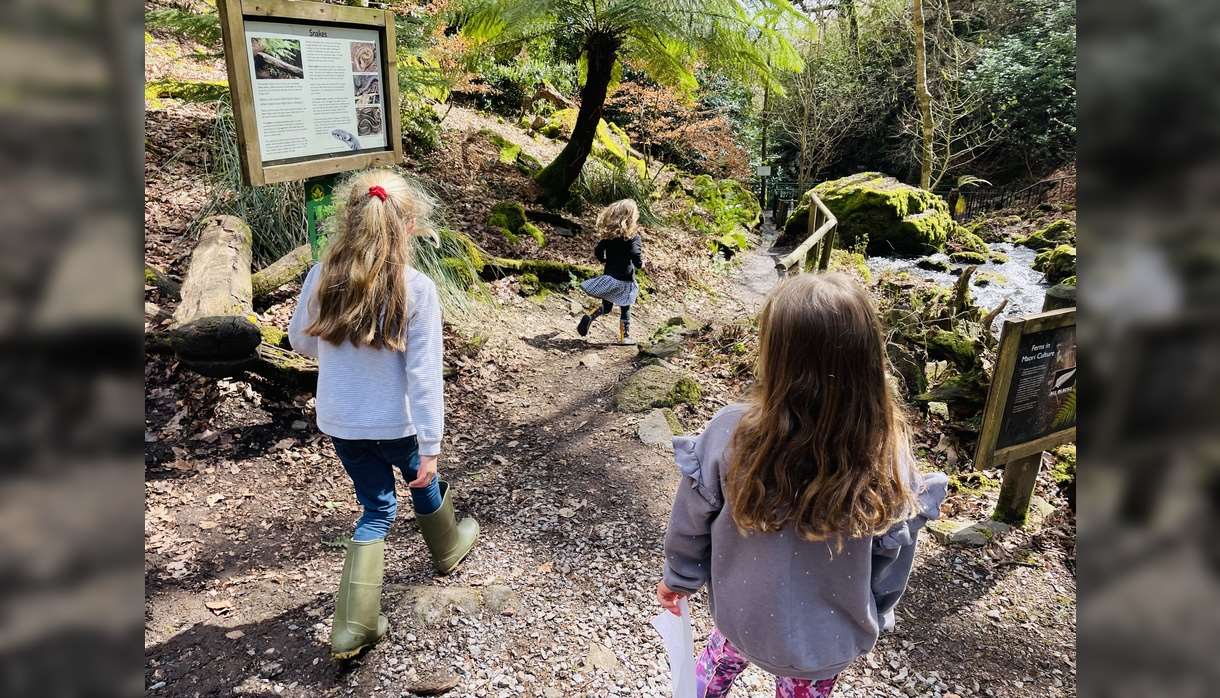 Canonteign Falls Easter Egg Trail