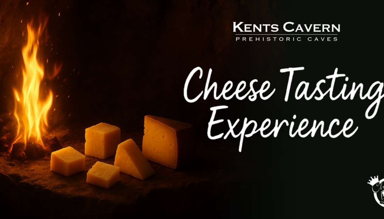 Cheese Tasting Experience