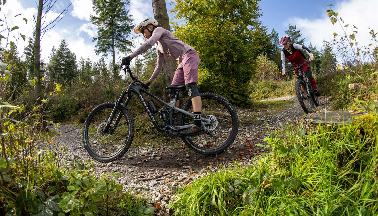 Cycling at Haldon Forest Park