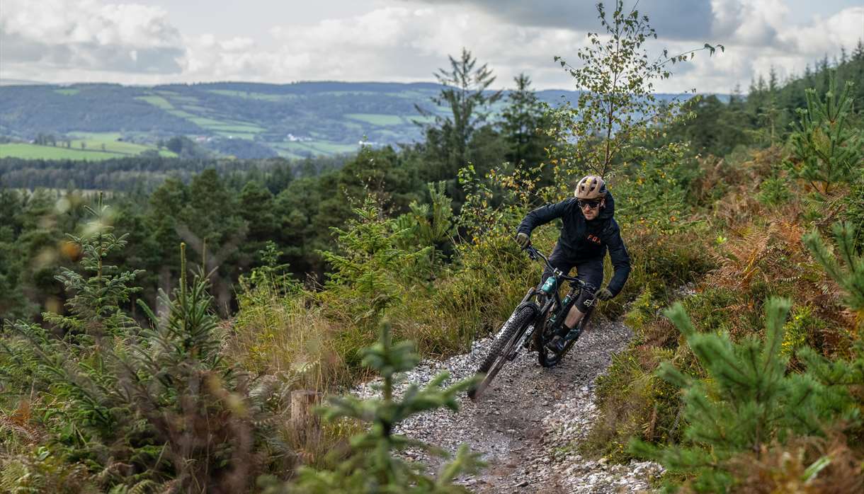Haldon forest cycle trails shop