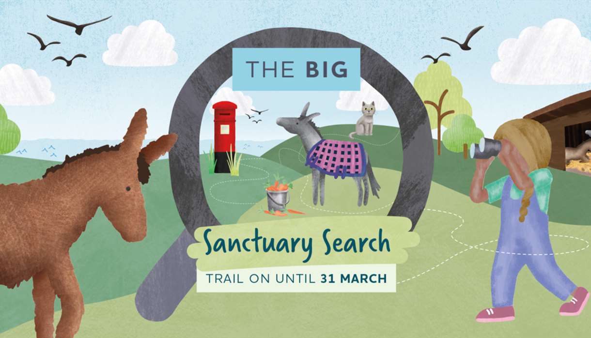 The Big Sanctuary Search Trail