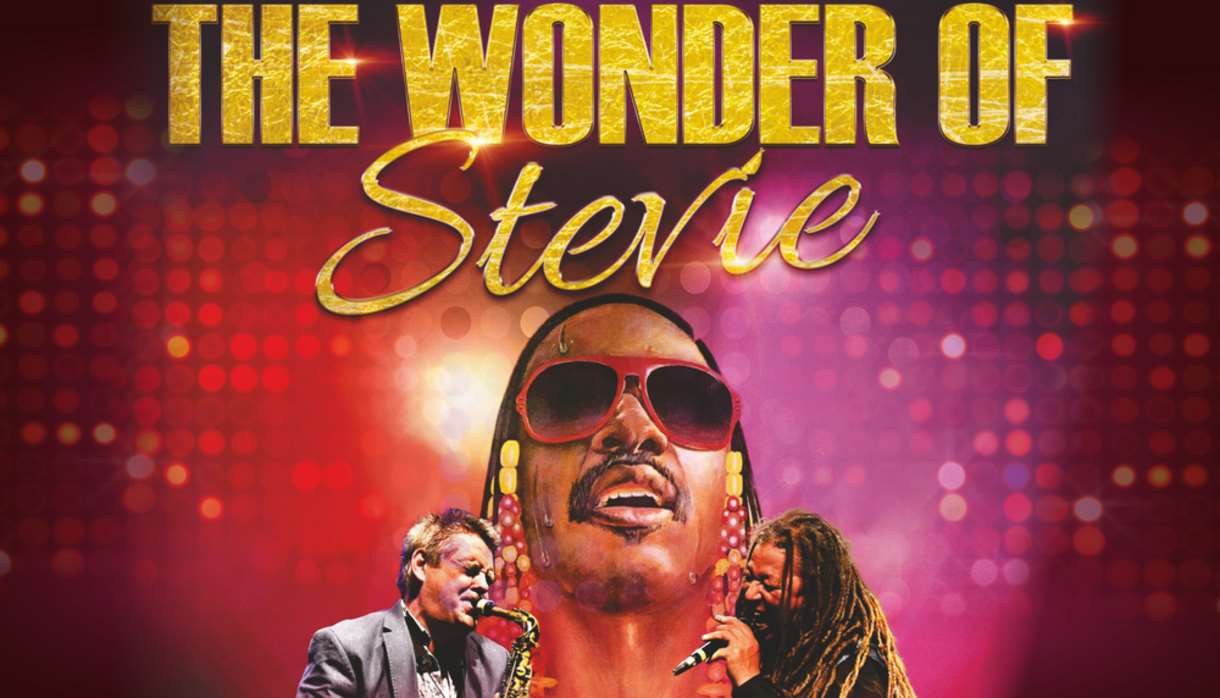 The Wonder of Stevie