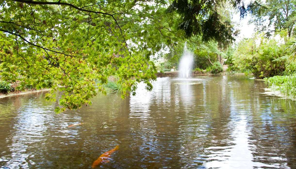 Ponds around the gardens