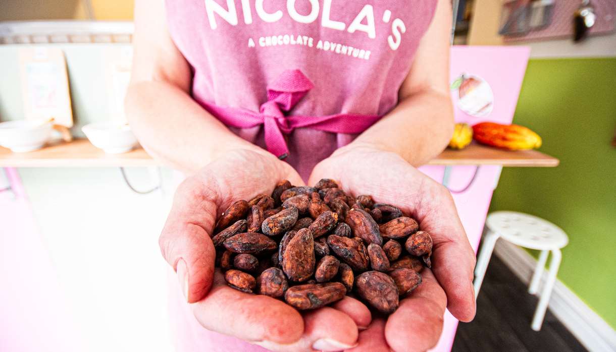 Junior Chocolate Makers (9-14)