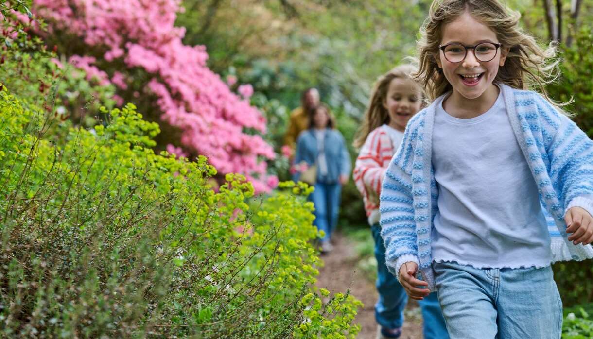 May Half Term: The Great Garden Game-a-thon