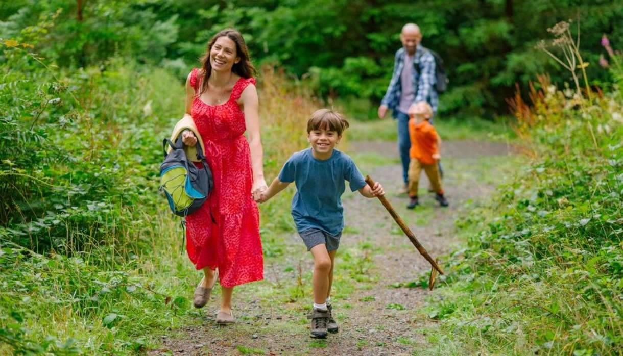 The Great Woodland Adventure