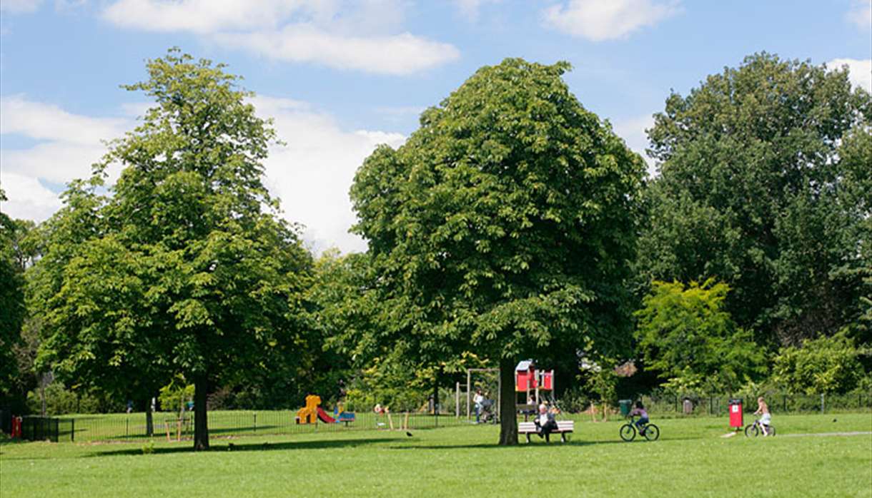 Trees in Bury Meadow