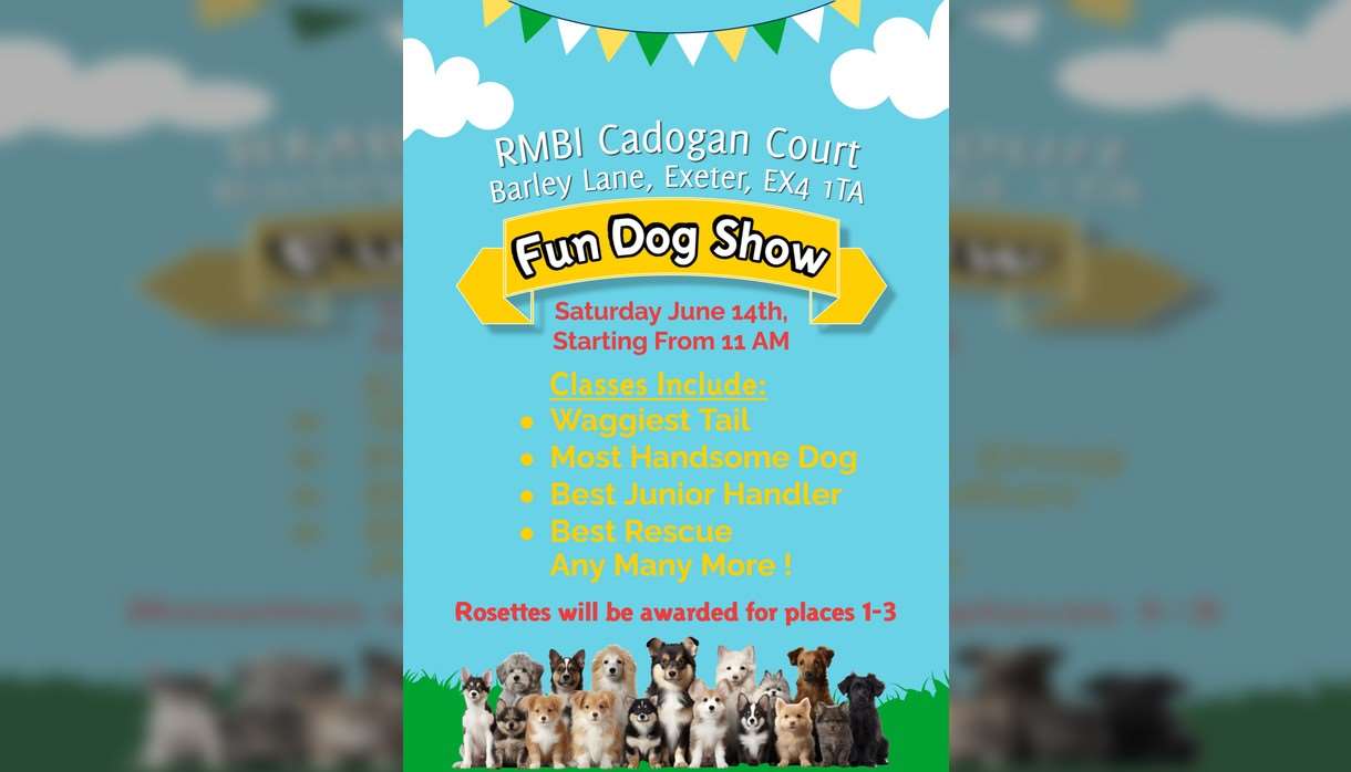 Cadogan Court Summer Fair