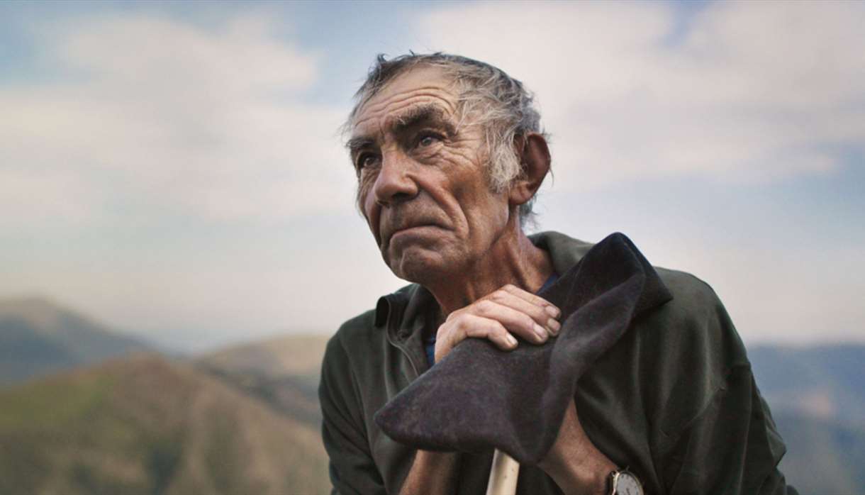 The Shepherd and the Bear