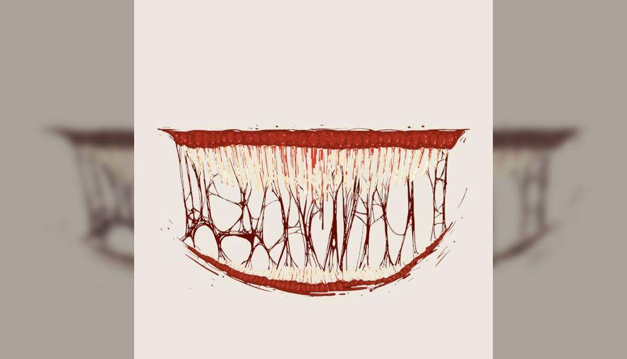 The Psychology Of Horror Movies: How Horror Speaks To The Subconscious