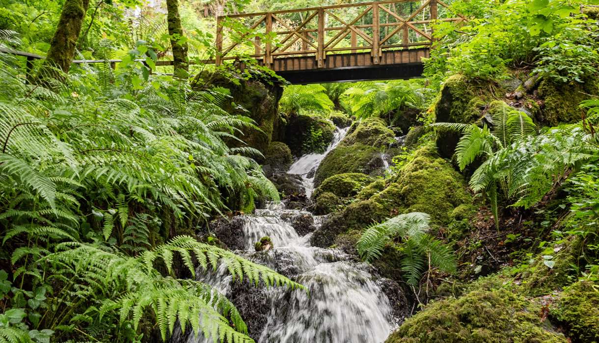 Canonteign Falls