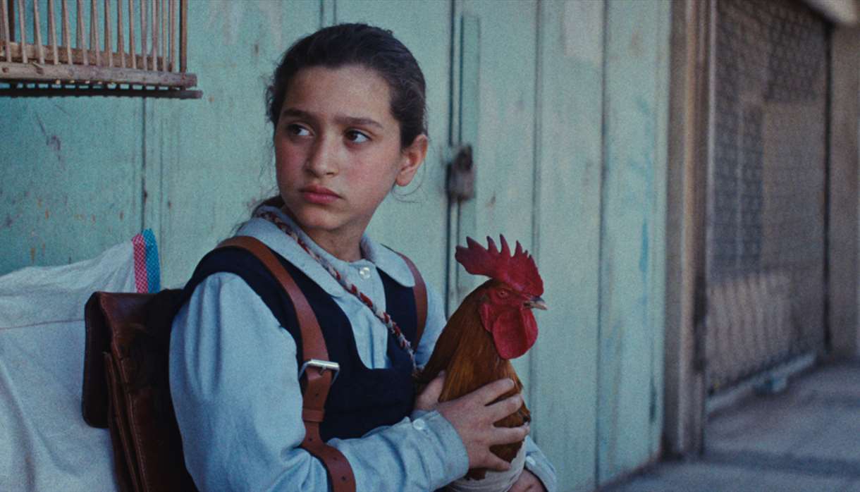 The President's Cake