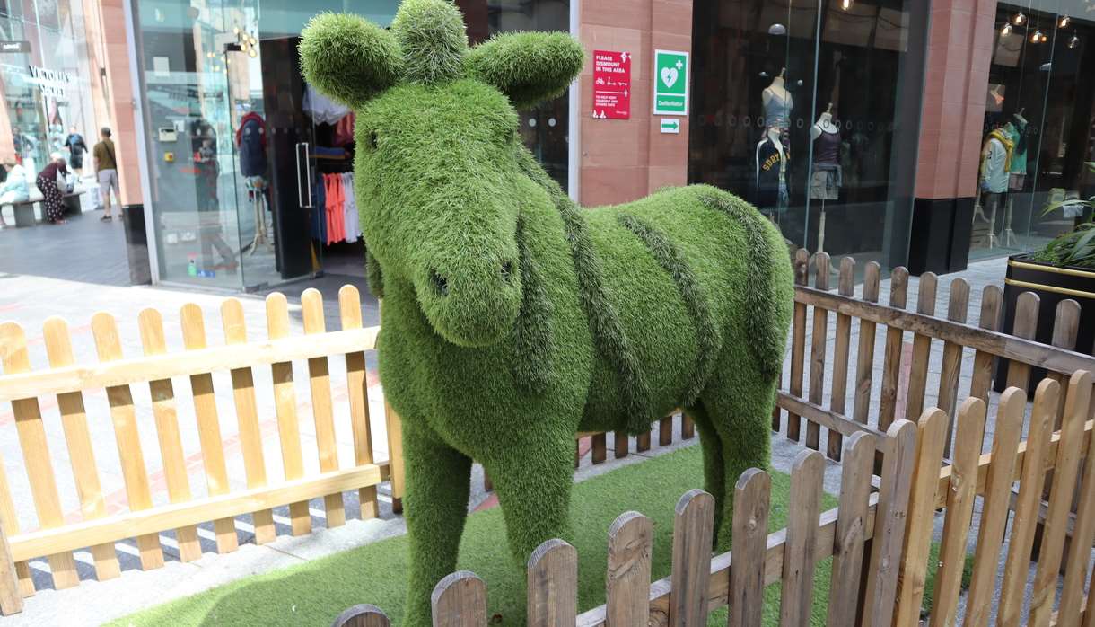 Princesshay Goes Wild