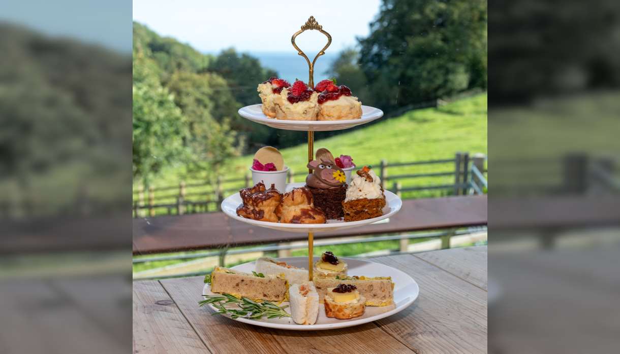 Bray beyond borders; Afternoon Tea for Donkeys Worldwide