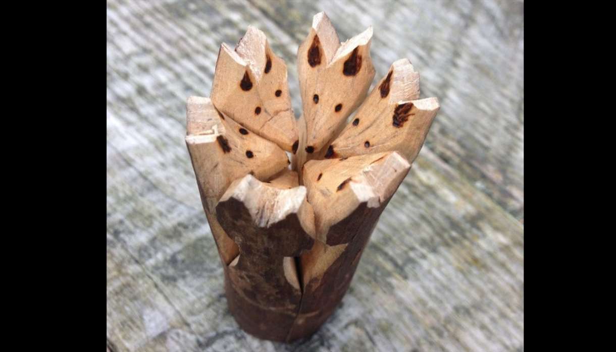 Woodcraft for Wellbeing workshop: Carving connection with nature - fox amulets