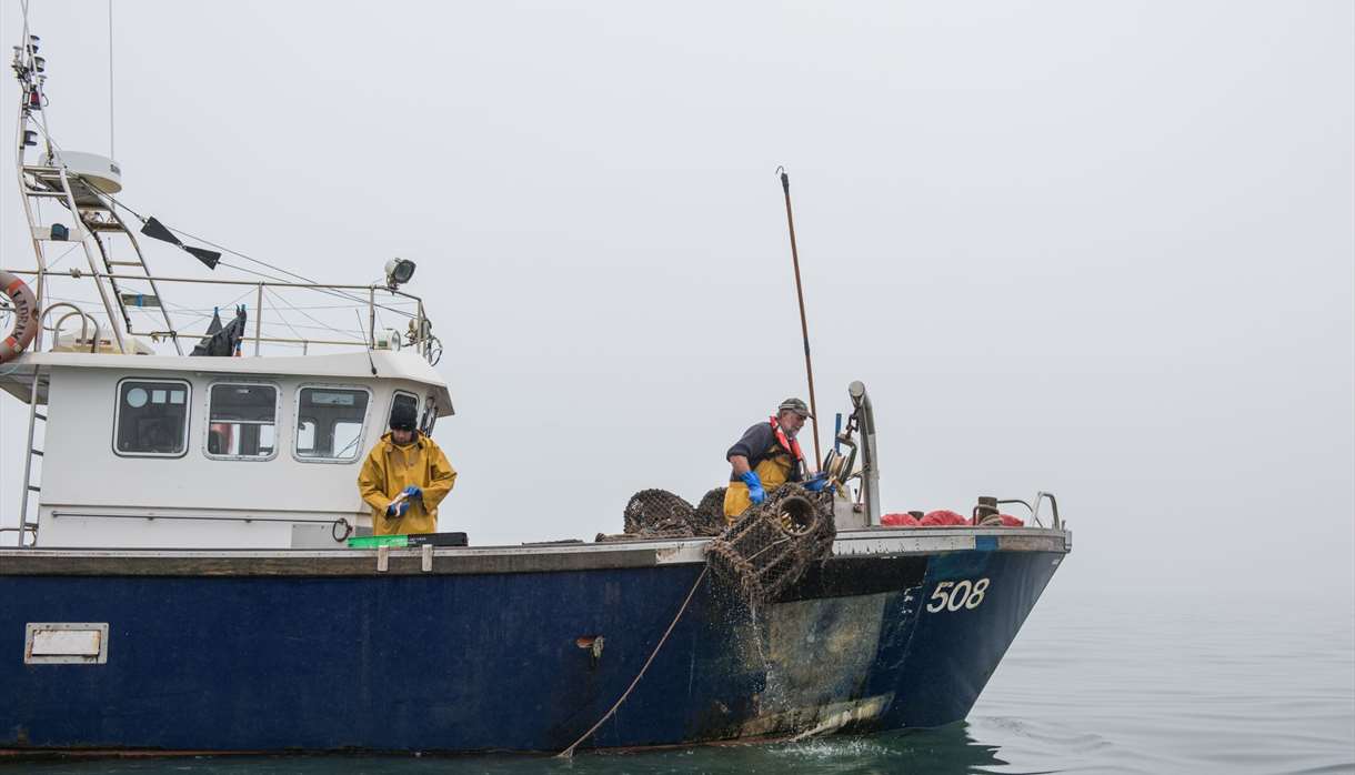 From sea to shop with fresh local seafood.