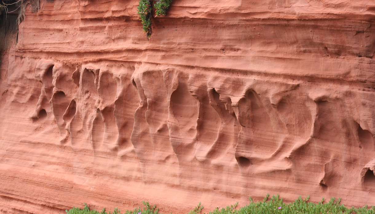 Experience Dawlish Warren and Cliffs, England