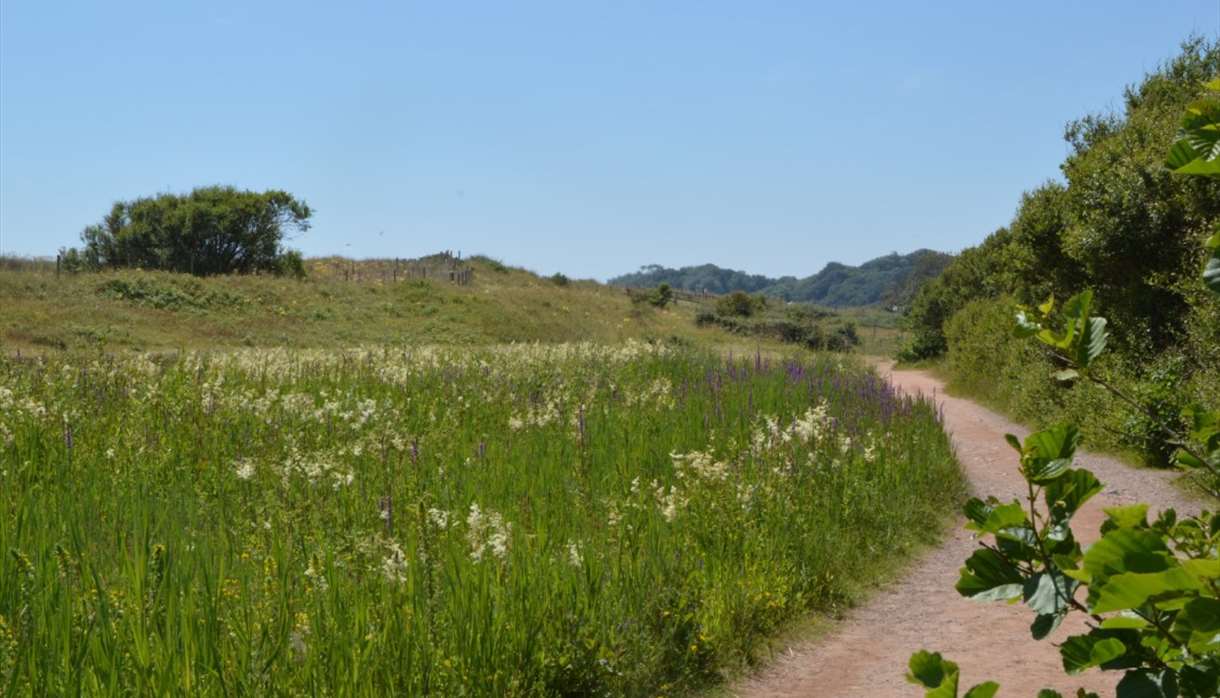 Dawlish Warren Nature Reserve pathway