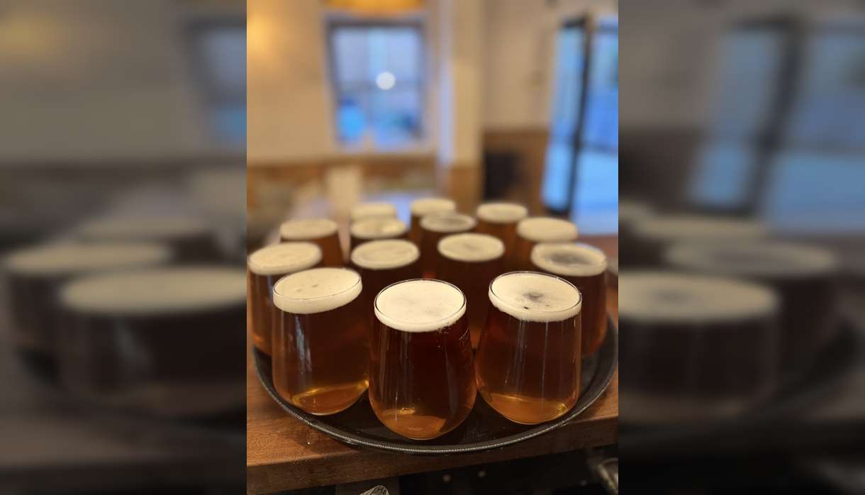 Guided tour tasting