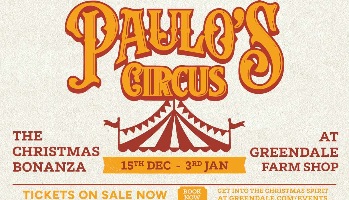 Paulo's Christmas Circus