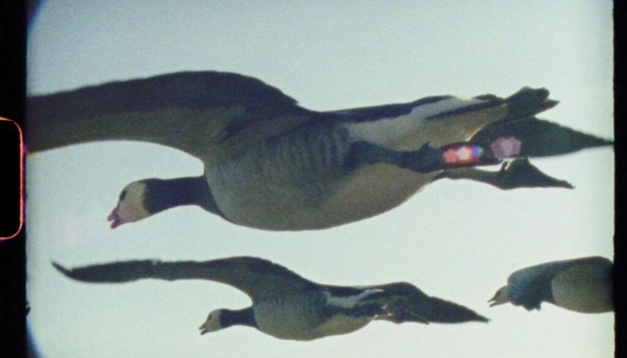 Super Nature