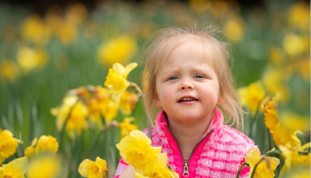 RSPB Easter trail at Darts Farm