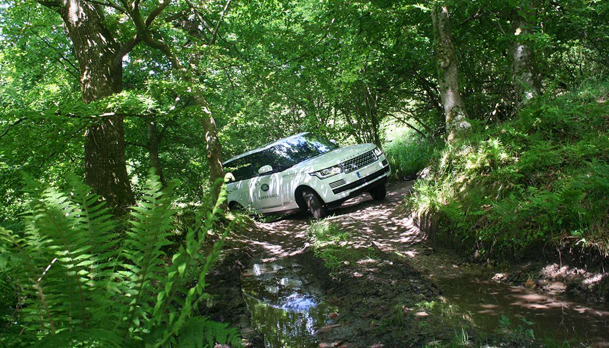 Range rover in the woods