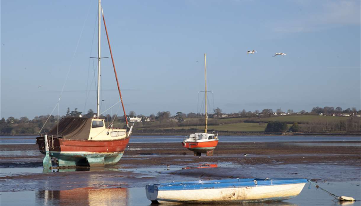 The Exe Estuary