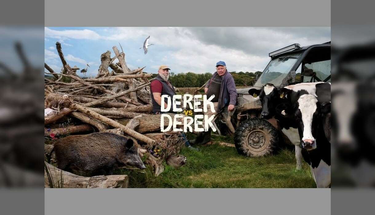 Derek vs Derek