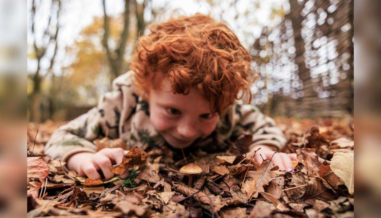 October Half Term - Spooky Plants