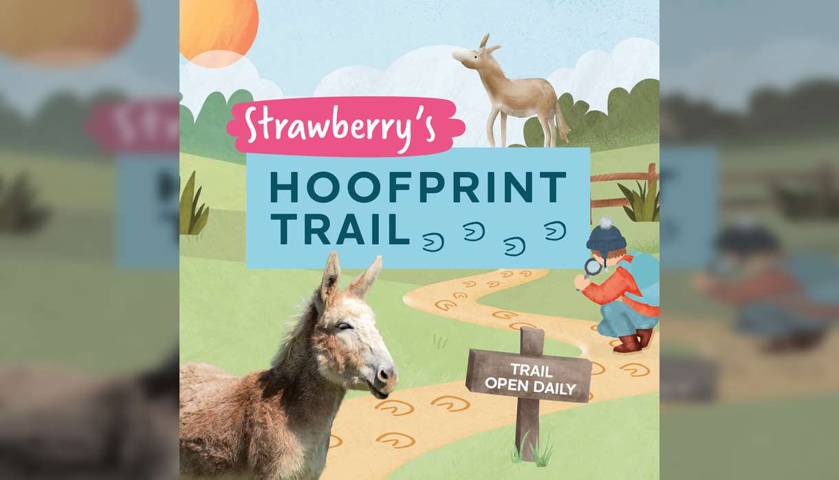 Strawberry’s Hoofprint Trail