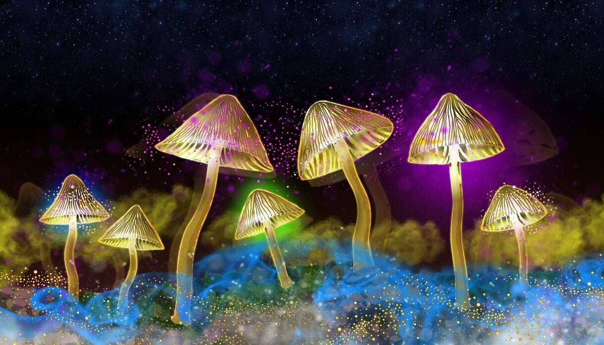 The Science Of Psychedelics With Dr David Luke