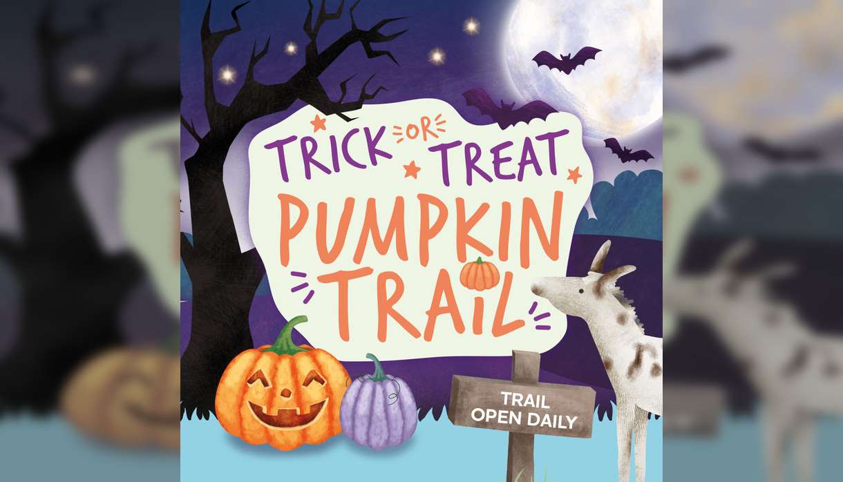 Pumpkin Trick or Treat Trail