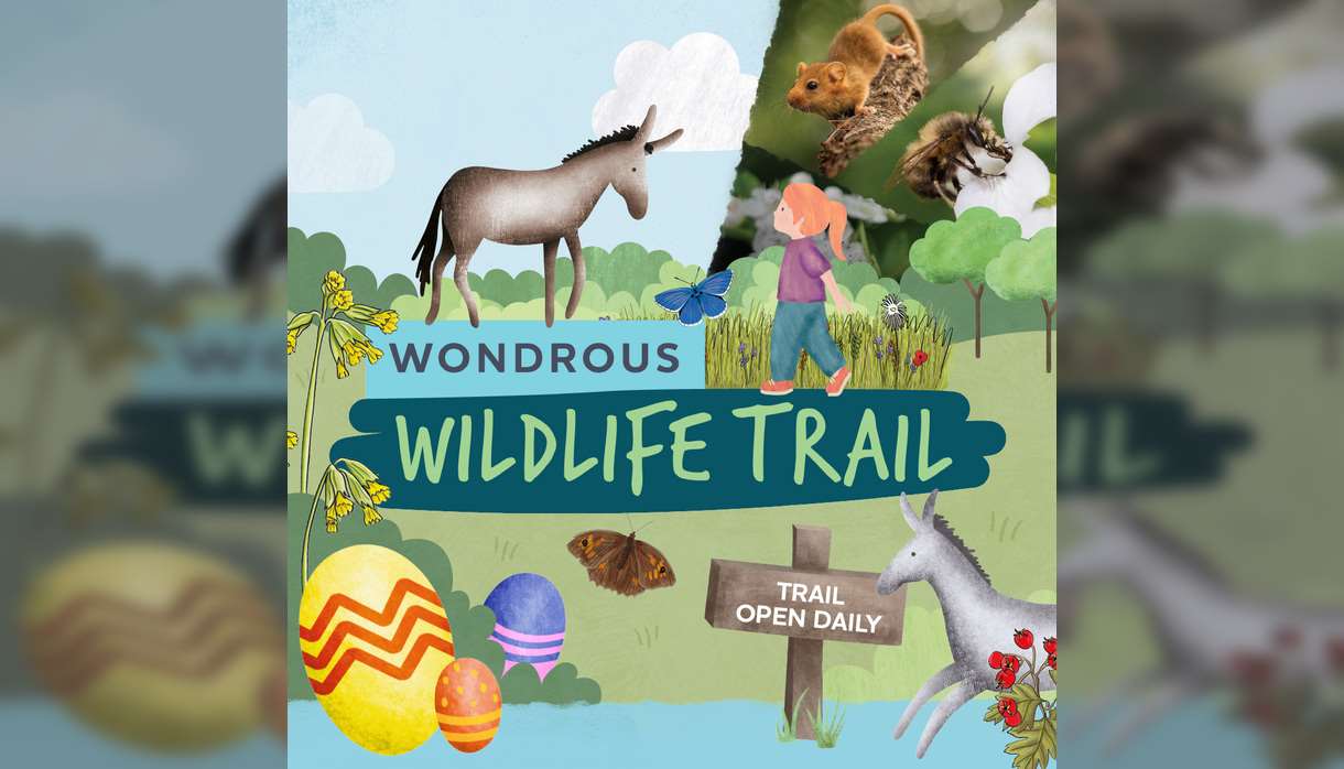 Wonderous Wildlife Easter Trail