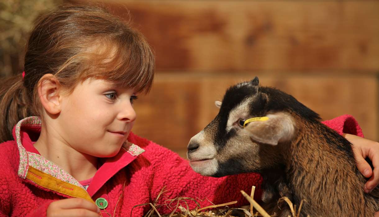 Child with a goat