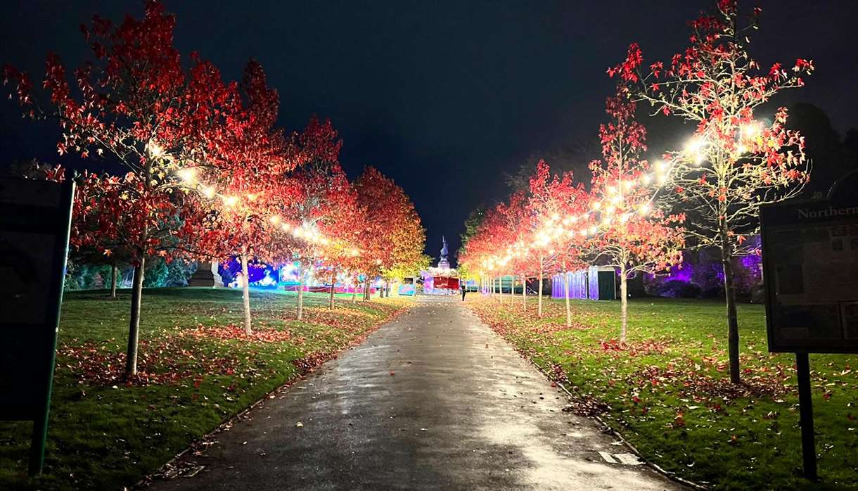 Exeter's Winter Wonderland Christmas Markets in EXETER, Exeter
