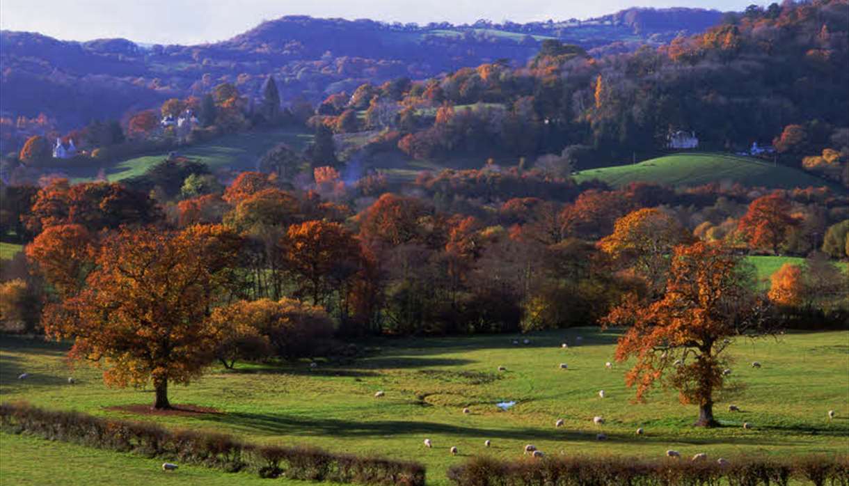 Lustleigh, Dartmoor - landscape views