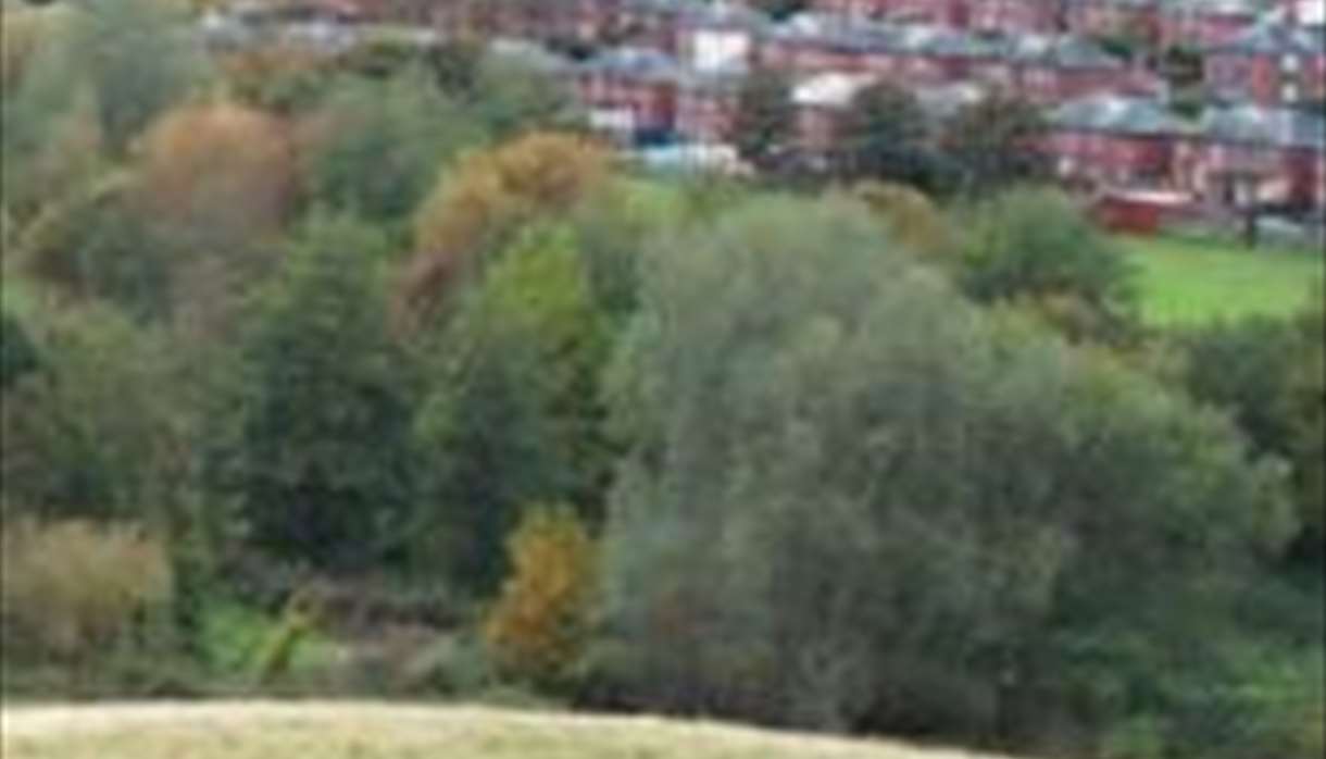 Ludwell Valley Park view